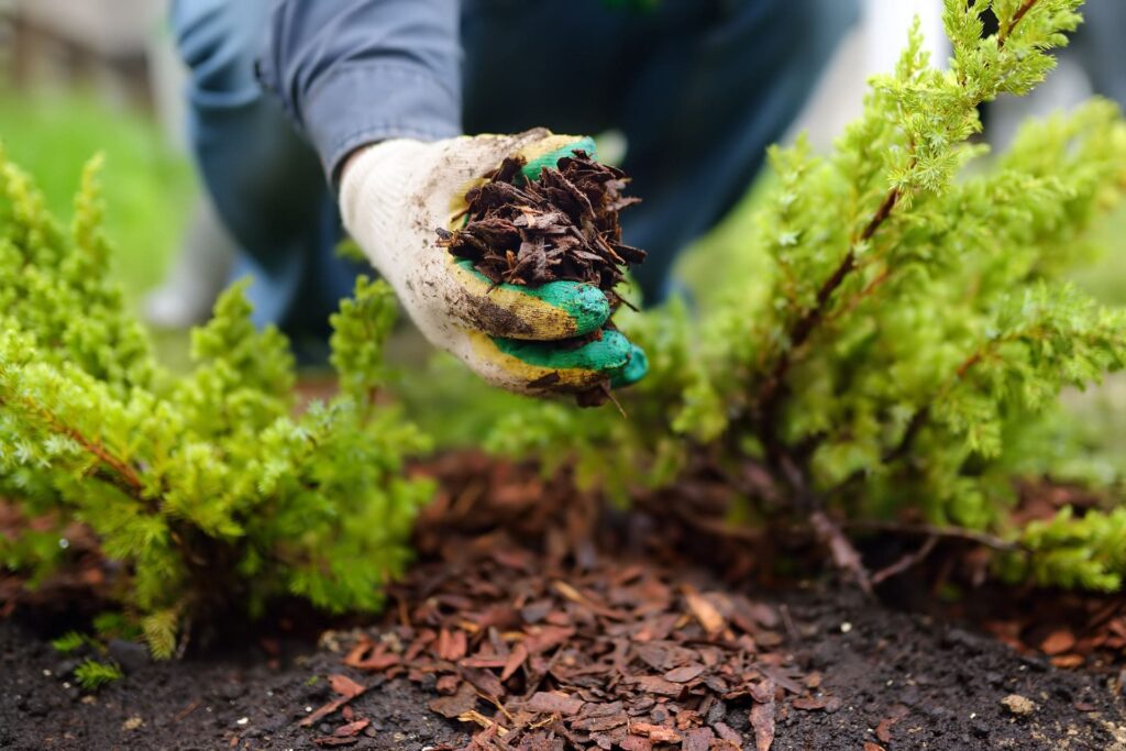 CUSTOMIZED MULCH SOLUTIONS